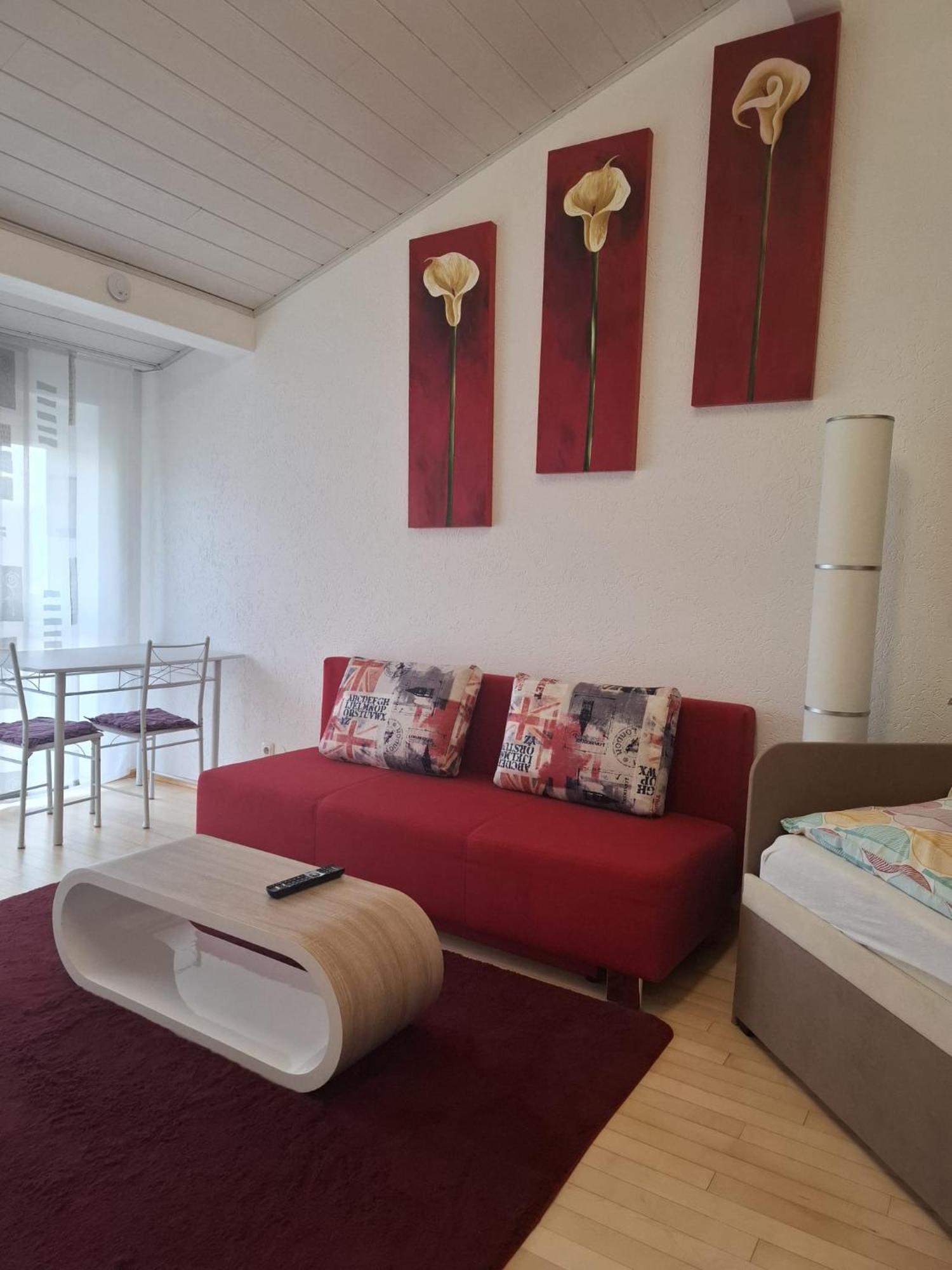 Exclusive Apartments Bietigheim-Bissingen Esterno foto